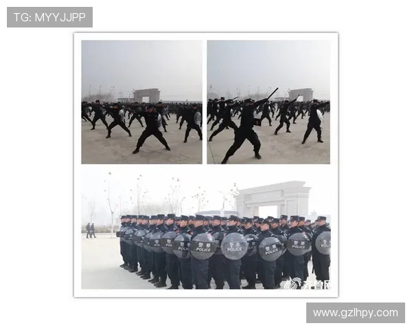 重庆飞盘队快攻战术深度解析与实战应用探讨